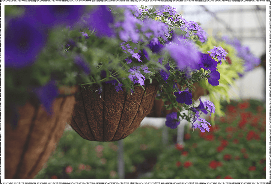 pottery-containers-decor