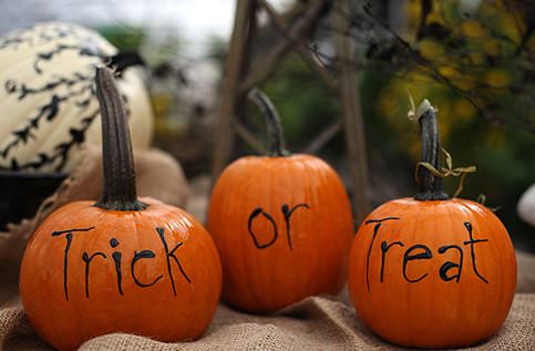 Hand Painted Pumpkins
