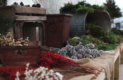 evergreen bundles and natural decor