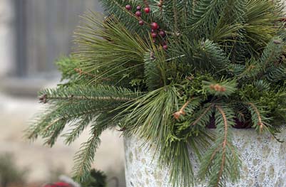 winter containers