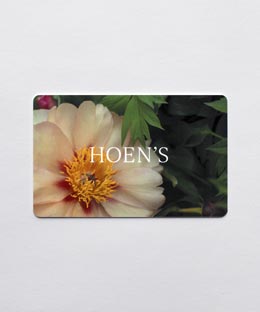 Hoen's Gift Card - Peony