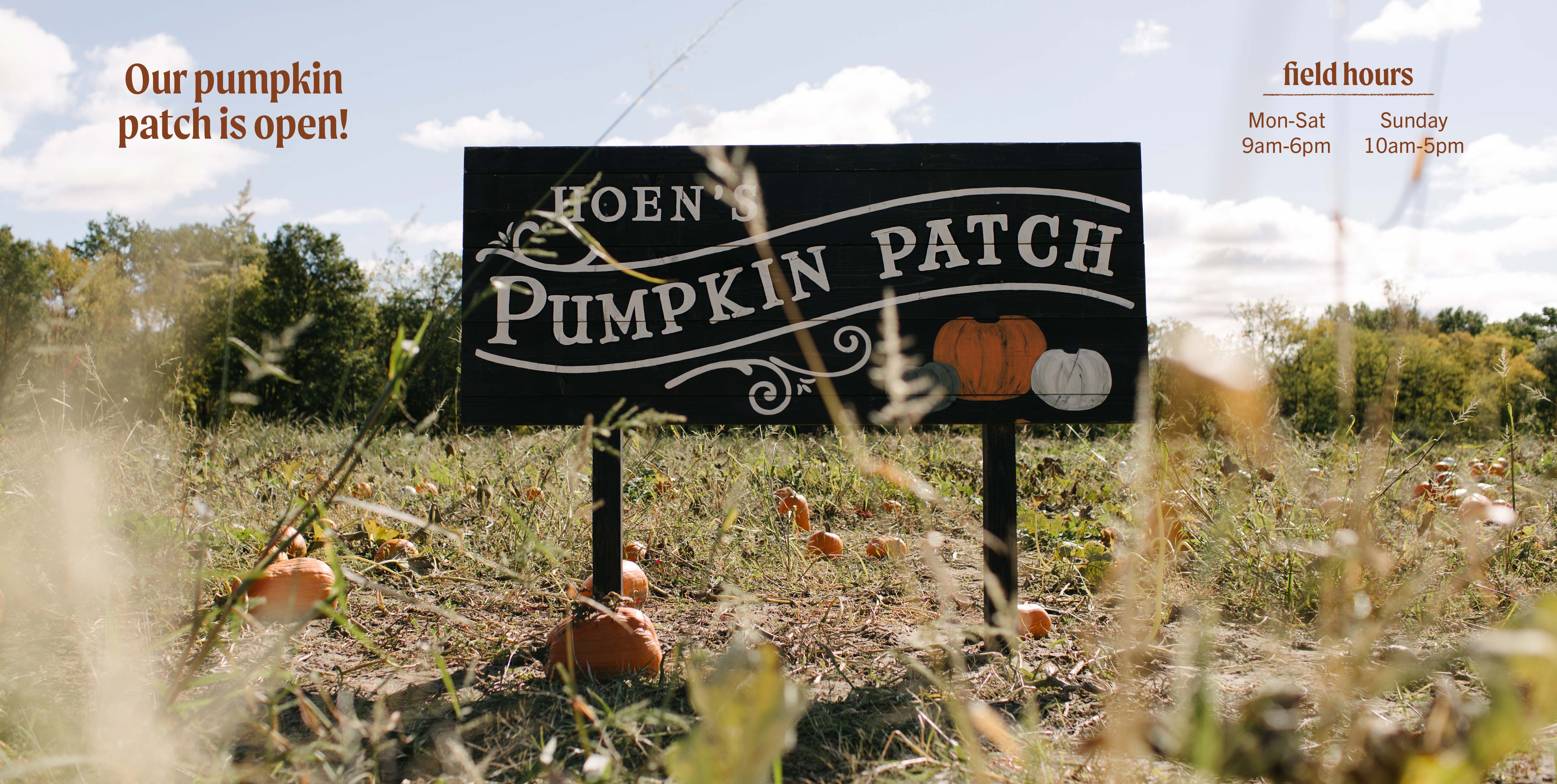 Pumpkin Patch at Hoen's Garden Center