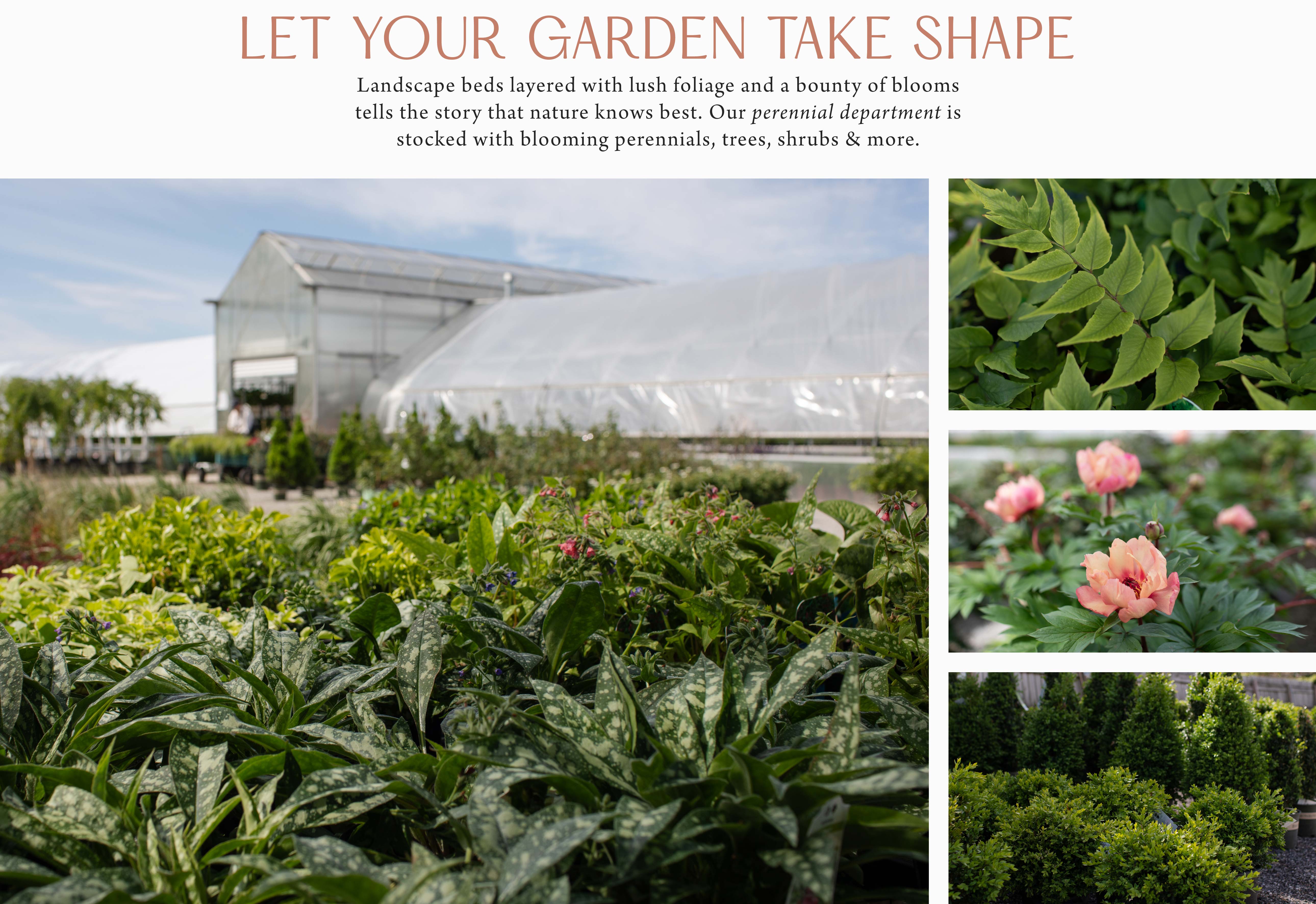 Let Your Garden Take Shape at Hoen's Garden Center