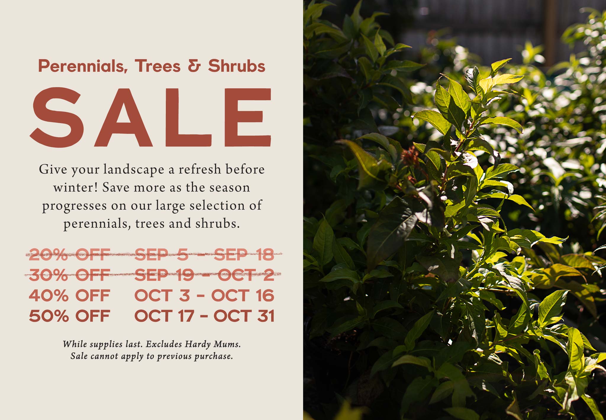Perennials, Trees and Shrubs SALE at Hoen's Garden Center