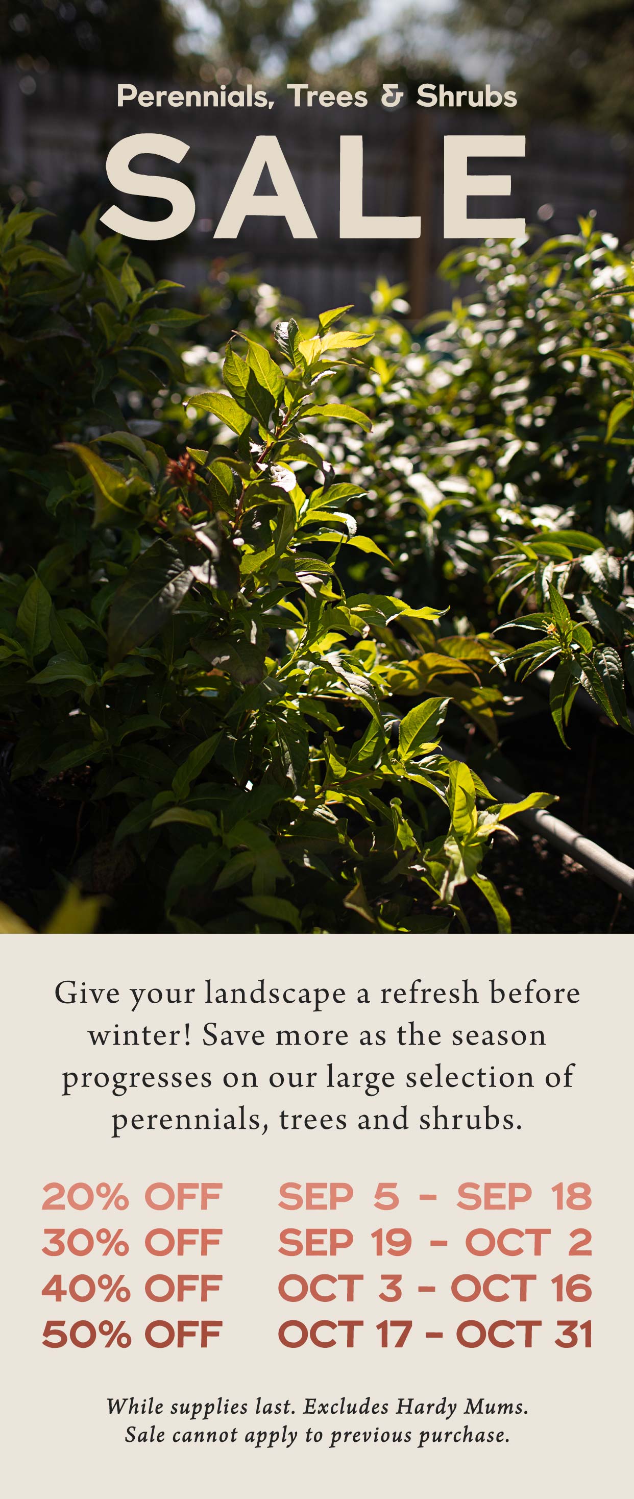 Perennials, Trees and Shrubs SALE at Hoen's Garden Center
