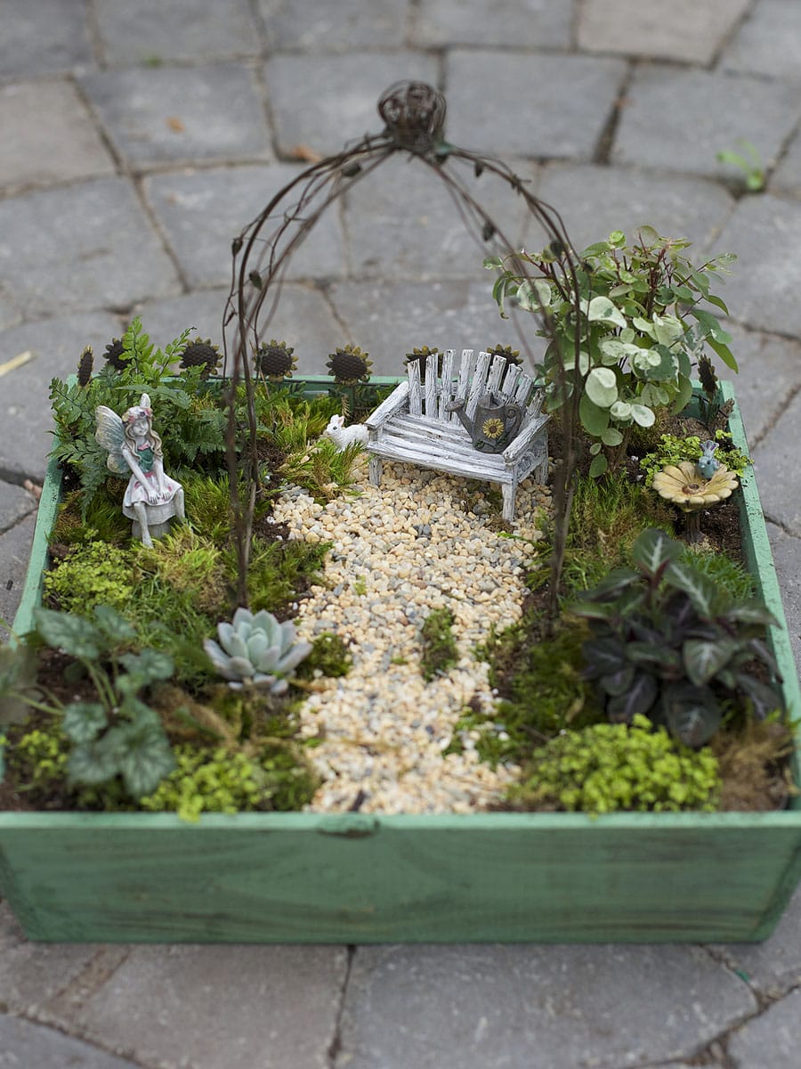 mmgardens-fairy
